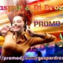 Dj Gaspar & Dj Drozdoff - Promo mix (april 2013)