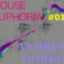 Dj Andrey Gorkin - House Euphoria #011