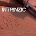 Intrinzic - No fate ()