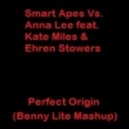 Smart Apes vs. Anna Lee feat. Kate Miles & Ehren Stowers - Perfect Origin (Benny Lite Mashup)