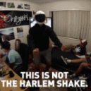 Baauer; Weekend Heroes - Harlem Shake