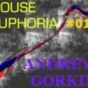 Dj Andrey Gorkin - House Euphoria #012