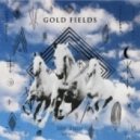 Gold Fields - Dark Again (Penguin Prison Remix)