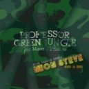 Professor Green - Jungle (High Rankin Remix) (Neon Steve Rub-A-Dub)
