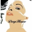 TsveteliN - deep house 2013