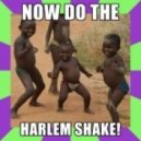 Bauer & MOT! - Harlem Shake (Alex Newgen Bootleg)