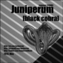 Juniperum - Black Cobra