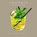 Phoenix - Trying to be Cool