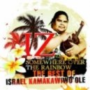 Israel Kamakawiwoʻole - Somewhere Over The Rainbow (Herznote Remix)