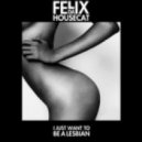Felix Da Housecat - I Just Want To Be A Lesbian (Tracy Young Remix)