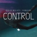 Box of Wolves & Hawaii94 - Control ()