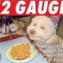 Sadhu & 12Gauge - The Backwards Song