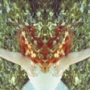 Susanna & The Magical Orchestra - Love will Tear us Apart (Uschi & Hans Bootleg)
