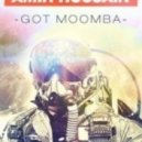 Amir Hussain - Got Moomba