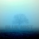 Prime Gold - Blue Mist ()