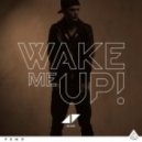 Avicii feat. Aloe Blacc - Wake Me Up