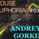 Dj Andrey Gorkin - House Euphoria #015