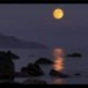 Andrew Gate - Lonely Night