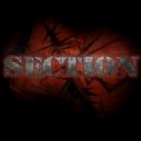 Section - Podcast 003