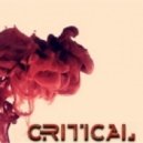 Critical ft Coco Worth - Dusk Culture