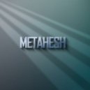 METAHESH - This Is The Shit