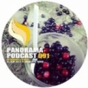 Derrick & Tonika - Panorama Podcast 091