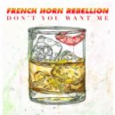 French Horn Rebellion - Don\'t You Want Me (The Human League Cover)