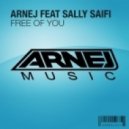 Tonny Nesse Alexandre Bergheau vs. Arnej feat. Sally Saif - Templar Free Of You (dj pusja Mashup)