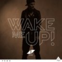 Avicii ft. Aloe Blacc - Wake Me Up