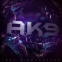 ak9 - Ye