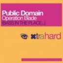 Public Domain - Operation Blade 2013