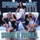 Stevie B. ft. Pitbull - Spring Love 2013 (Ultimix DJ Rix)