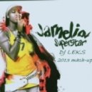 Jamelia vs. Nejtrino, Stranger, Baur - Superstar (Dj Leks 2013 Mashup)