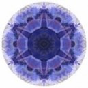 Simon Vuarambon - Violet Petals