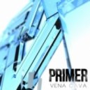 Vena Cava - Primer