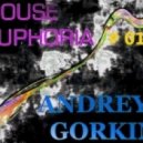Dj Andrey Gorkin - House Euphoria #016
