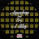 Aquadrop feat. CRZ - A Miley ()