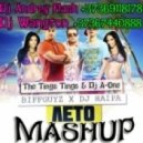 Biffguyz feat. DJ Haipa vs. The Tings Tings & Dj A-One - Leto Go (AndreY Flash & Wangton Mash-up)