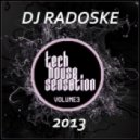DJ RADOSKE - Tech House Sensation Volume 3