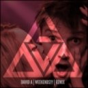 Skrillex feat. Sirah - Weekends!!! (David A Remix)