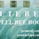 Ayla - Liebe 2k13 (Marvell Bee Bootleg)