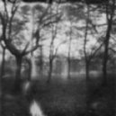 Nymos - Forlorn