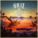 GRiZ - Too Young For Tragedy pt. II