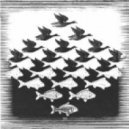 dimedroll - Metamorphosis