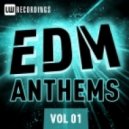 DjStrelkovsky - EDM Anthems Vol 01-2013