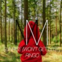 Joris Voorn - Ringo
