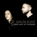 Wildlight - Save My Mind For Later