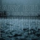 GARY BELL - Wild Gradients