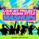 Pitbull feat. Trina vs. Purple Project - Okay (Dj Sasha Style & Loud Bit Project Mashup)