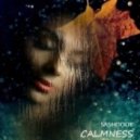 Sashoook - Calmness